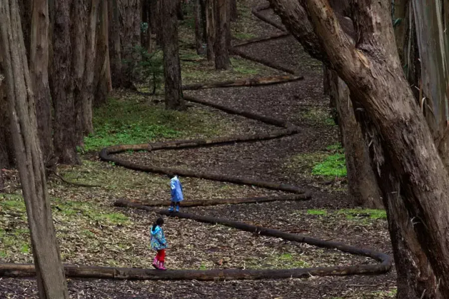 Due bambini camminano lungo un sentiero tortuoso nel Presidio di San Francisco.